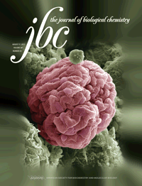 Current Issue Cover